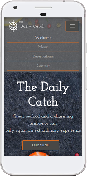 The Daily Catch website viewed on mobile device