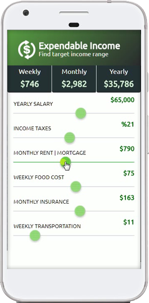 expendable income app mobile view